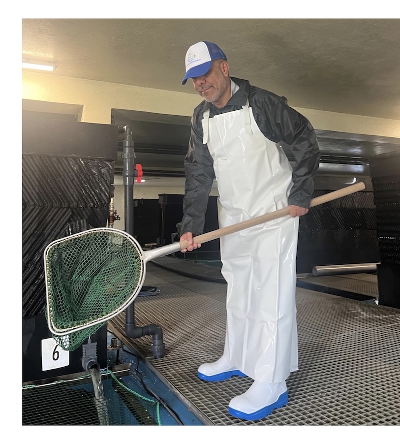 Ahmed Hameed setzt auf nachhaltige Fischzucht.