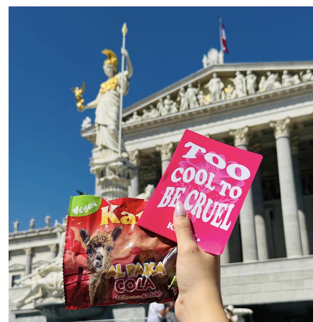 Katjes Sampling vor dem Parlament