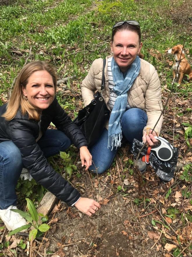 Auch wir haben mit Waldquelle im Wienerwald zwei Bäumchen gepflanzt.