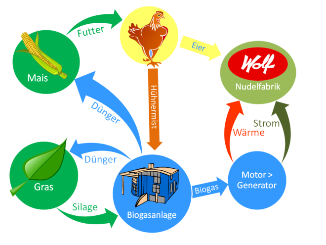 Kreislauf nach Joachim Wolf