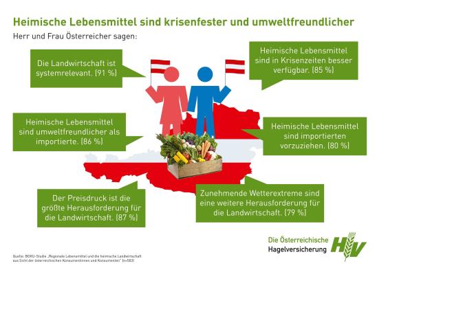 Infografik Boku Studie