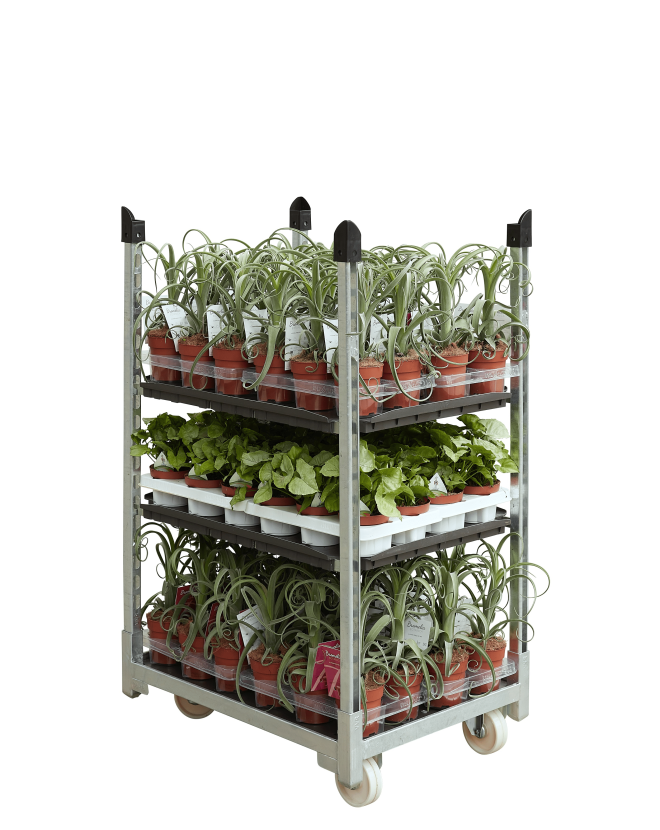 Hofer Pflanzencontainer Van Vliet