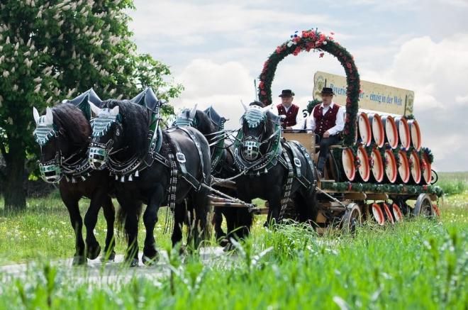 Bayerisches Bier ist in Vielfalt und Geschmack einzigartig auf der Welt.