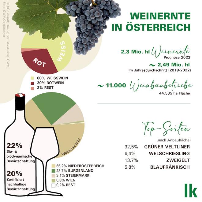 Weinernte 2023