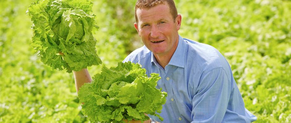 Humus Bauer Ridisser