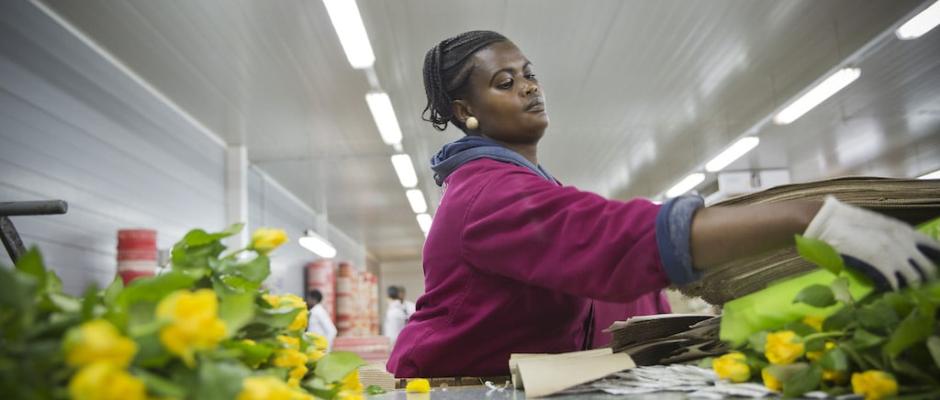 Rosen Fairtrade Challenge