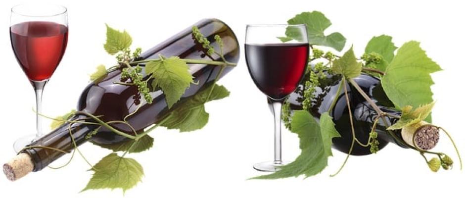 Wein in der Corona Krise