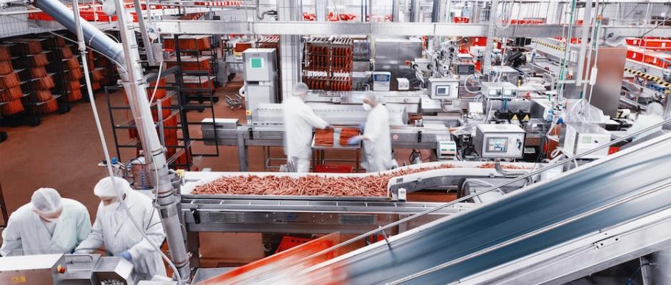 Wiesbauer investiert in acht nachhaltige Verpackungsanlagen