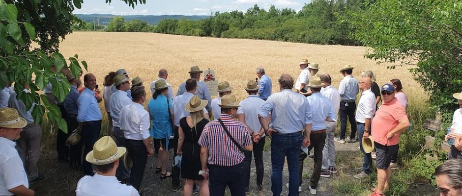 Der Feldtag von GoodMills Austria am Bio-Landgut Esterhazy in Donnerskirchen