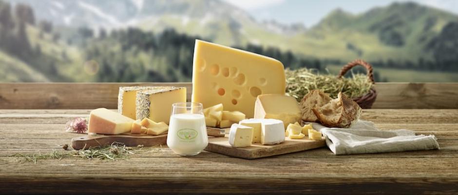 Nur Heumilch besitzt die Eigenschaften, die für die Erzeugung lang gereifter Käsesorten notwendig sind. Deshalb gilt Heumilch auch als Spezialmilch für Käse. 