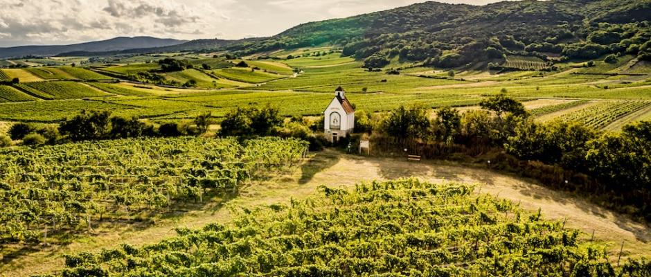 Thermenregion finalisiert DAC-Prozess in Österreich