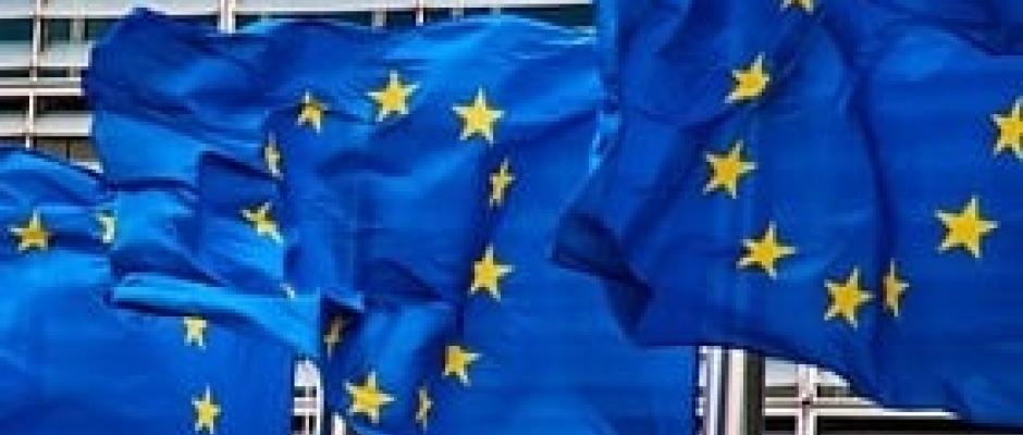 BS Handel und EuroCommerce machen bei den heißen Themen Entwaldungsverordnung und chinesische Plattformen Druck in Brüssel