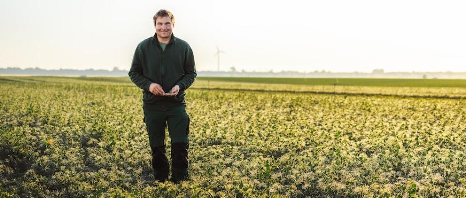 Seit sechs Jahrzehnten ist die größte Ebene Niederösterreichs die wichtigste Bezugsquelle für regionales iglo-Gemüse. 