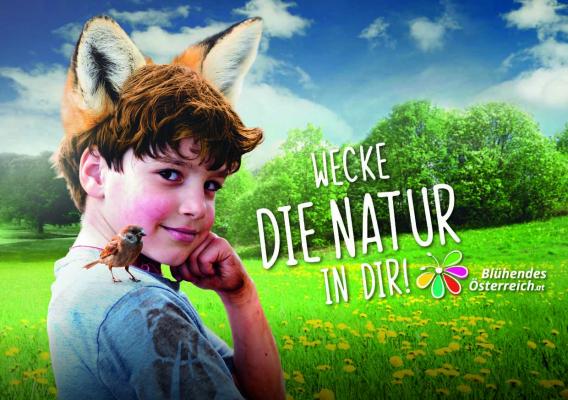 Blühendes Österreich Online Portal