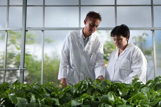 L'Oréal gestaltet Forschung um