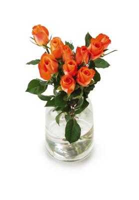 Mit dem Verkauf von über 30 Millionen Fairtrade-zertifizierten Artikeln pro Jahr trägt Hofer dazu bei, dass Kleinbauernfamilien faire Preise erhalten.