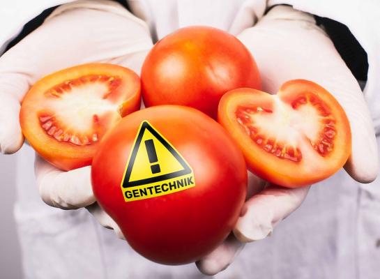 Strenge Regulierung bei Gen-Food: Neue Gentechnik im Essen kennzeichnen - Global 2000 startet Petition