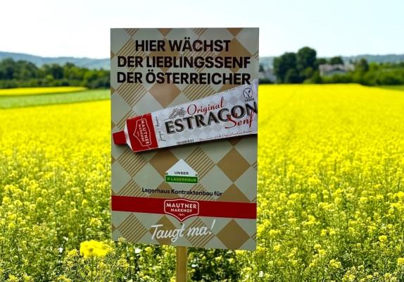 Seit 15 Jahren fördert Mautner Markhof die Kultivierung von Senf in Österreich und bezieht heute die Gelbsenfsaat für seine Markenprodukte zu 100% aus heimischem Anbau.