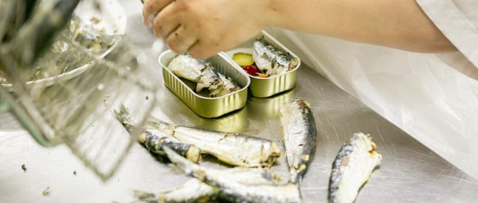 Die Sardinen werden täglich fangfrisch verarbeitet.
