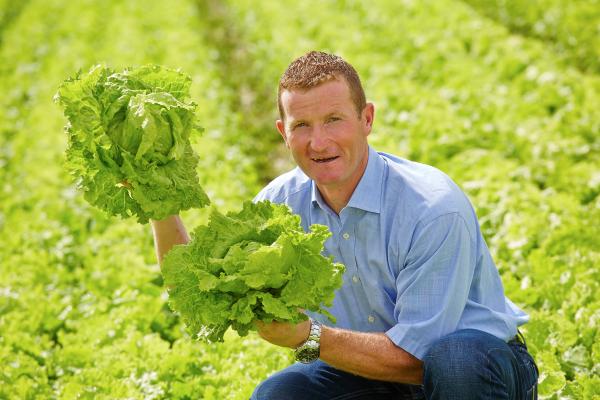 Humus Bauer Ridisser