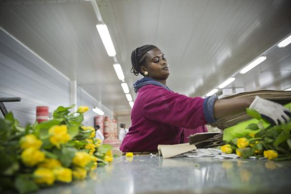 Rosen Fairtrade Challenge