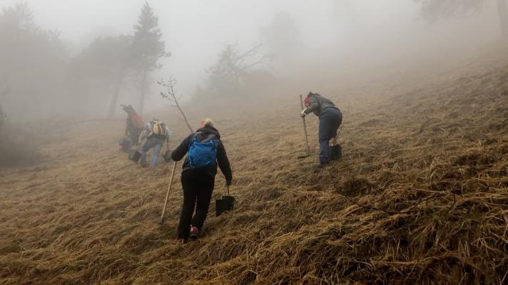 Recheis pflanzt 130 Bäume