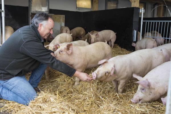 Spar Projekt Tann Mühlenhof Duroc ausgezeichnet
