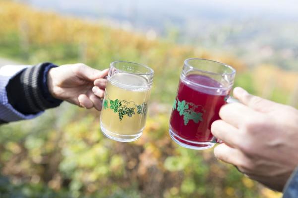 Wein aus Österreich Sturm