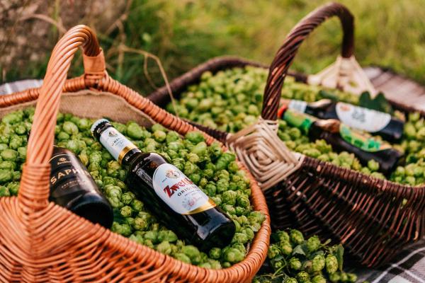 Zwettler Brauerei mit Umsatzrekord