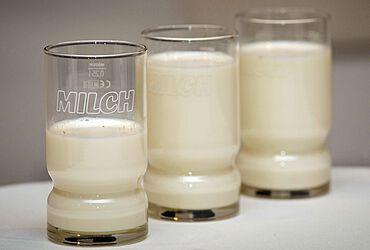 Rund um den Weltmilchtag gibt es viele Themen