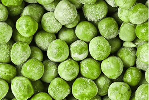 Iglo auf Erfolgsspur