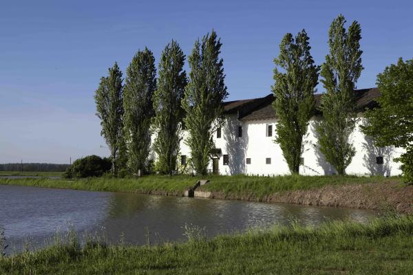 Riso Gallo nachhaltiger Reisanbau