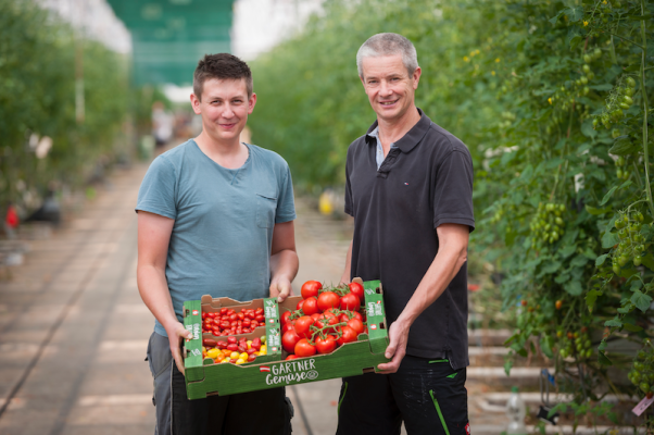 LGV Gemüsegärtner Thomas und Martin Merschl aus der Donaustadt