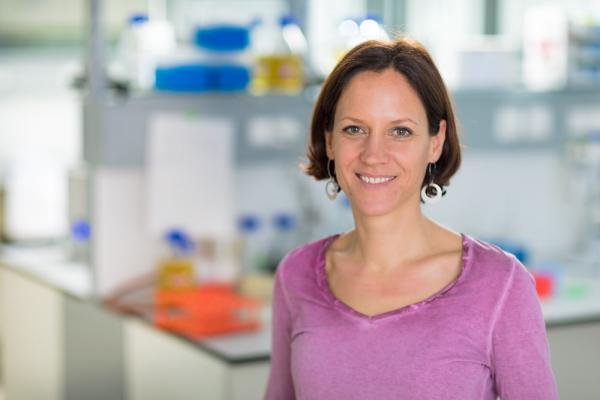 FH-Prof.in Dipl.-Ing.in Dr.in Silvia Apprich ist neue Studiengangsleiterin vom Bachelorstudiengang Nachhaltiges Ressourcenmanagement