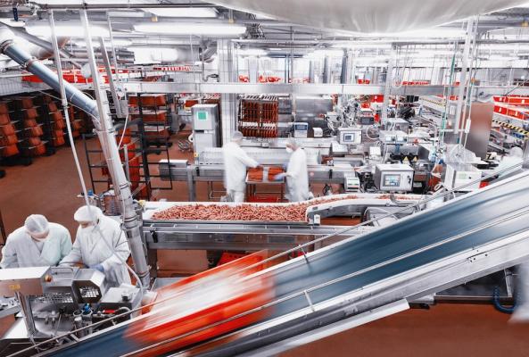 Wiesbauer investiert in acht nachhaltige Verpackungsanlagen