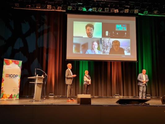 Die Panel Diskussion bei der ICOP 2021 Konferenz