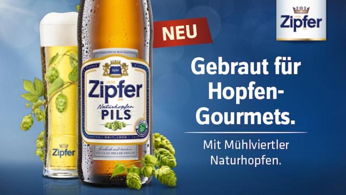 Urtypisch: Das Zipfer Naturhopfen Pils