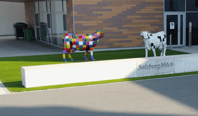 Zusammenschluss Salzburger Alpenmilch Genossenschaft eGen / Gmundner Molkerei eGen in Phase I unter Auflagen freigegeben.