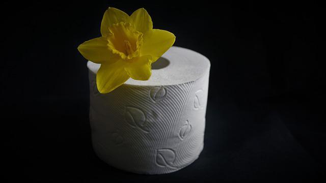 Nachhaltiges Hygienepapier