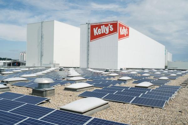 Kelly freut sich über Sonnenenergie