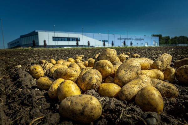 Rund 100 Mitarbeiter verarbeiten bei Dorfinger pro Jahr mehr als 50.000 Tonnen frische Kartoffel und Zwiebel.