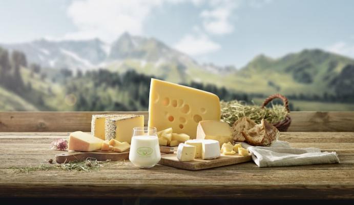 Nur Heumilch besitzt die Eigenschaften, die für die Erzeugung lang gereifter Käsesorten notwendig sind. Deshalb gilt Heumilch auch als Spezialmilch für Käse. 