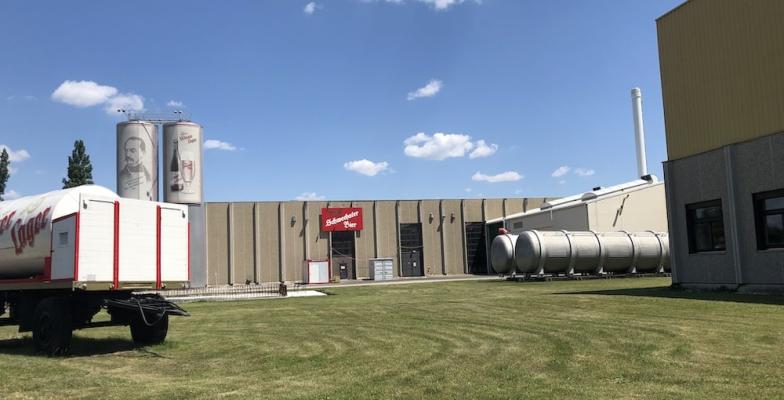 Brauerei Schwechat: Zugpferd der Dosen-Produktion