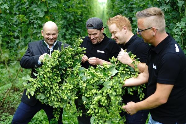 Braumeister Tim Groeger (links) und seine Kollegen von der Mohrenbrauerei begutachten die Qualität des Aromahopfens aus exklusivem Anbau.