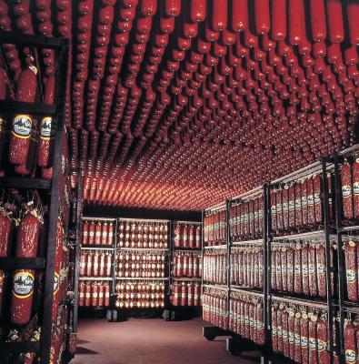 Wiesbauer Jahresergebnis 2023