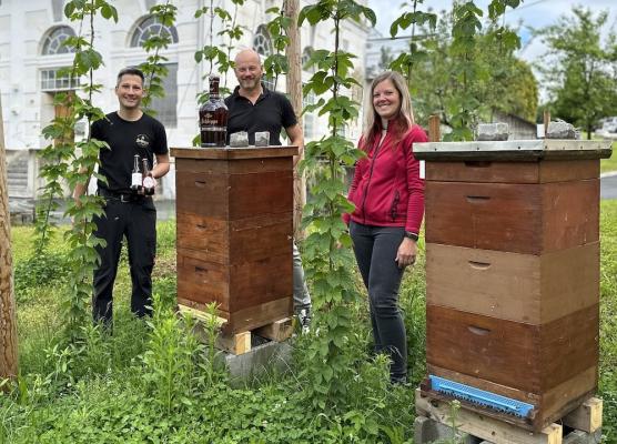 Zwei Bienenstöcke inmitten des kleinen Hopfengartens in der Schleppe Brauerei v.l.n.r.: Brauer Matthias Matschek und regionaler Verkaufsdirektor Brau Union Österreich Werner Kresse mit Geschäftsführerin der LVBK Bienenzucht GmbH Nicole Kummer