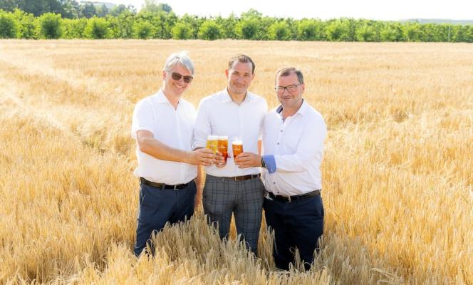 V.l.n.r.: Bernhard Schabbauer, Produzent der Wiener Braugerste und Kammerrat der LK Wien, Ottakringer-Geschäftsführer Tobias Frank und Norbert Walter, Präsident der LK Wien im Gerstenfeld