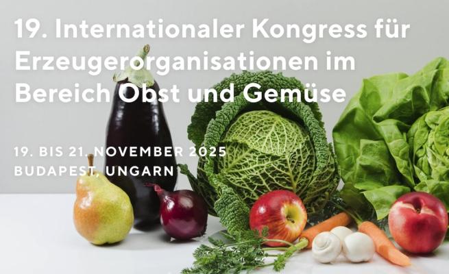 ICOP 2025 in Budapest