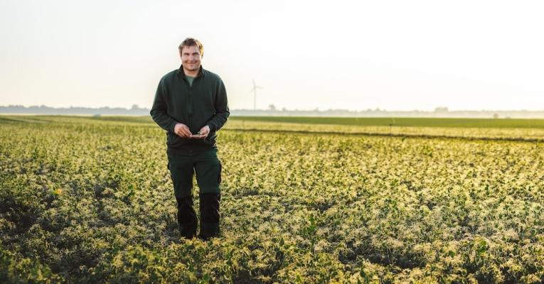 Seit sechs Jahrzehnten ist die größte Ebene Niederösterreichs die wichtigste Bezugsquelle für regionales iglo-Gemüse. 
